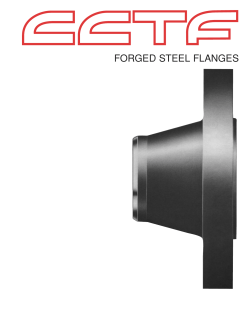 forged steel flanges