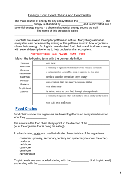 Food Chains