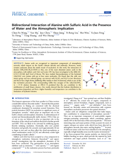 Bidirectional Interaction of Alanine with Sulfuric Acid in the Presence