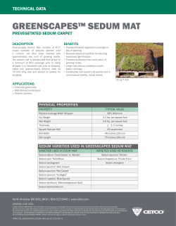 greenscapes&trade; sedum mat