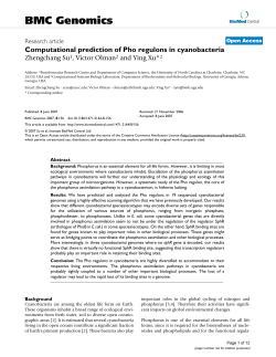Computational prediction of Pho regulons in cyanobacteria | BMC