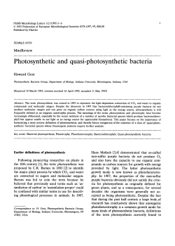 Photosynthetic and quasi-photosynthetic bacteria