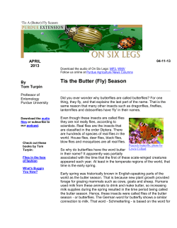 Fly - Purdue University