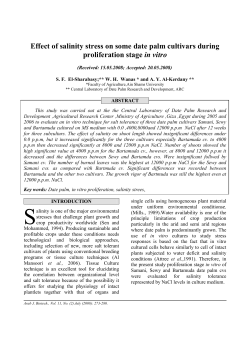 Effect of salinity stress on some date palm cultivars during
