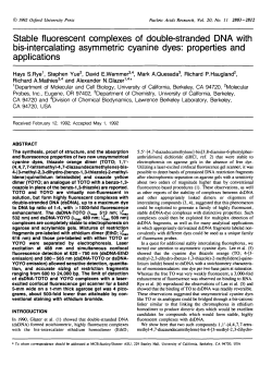 Stable fluorescent complexes of double