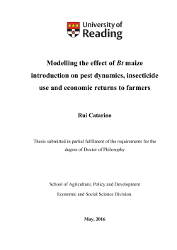 Modelling the effect of Bt maize introduction on pest dynamics