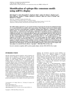 Identification of epitope-like consensus motifs using mRNA display