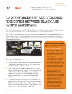 Law Enforcement and Violence: The Divide between Black and