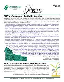GMO`s, Cloning and Synthetic Varieties How Grass Grows Part 4