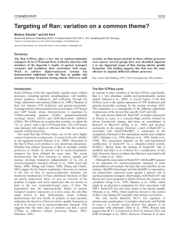Targeting of Ran: variation on a common theme?