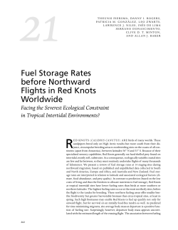 Fuel Storage Rates before Northward Flights in Red Knots