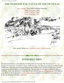 SOUTH TEXAS Pleistocene FOSSILS