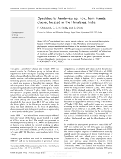 Dyadobacter hamtensis sp. nov., from Hamta glacier, located in the