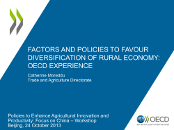 factors and policies to favour diversification of rural