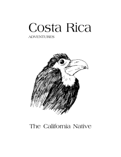 Costa Rica - The California Native