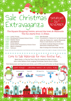 Sale Xmas Lights 2016