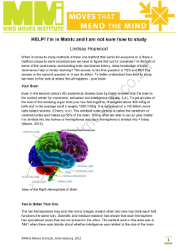 HELP! I`m in Matric and I am not sure how to study Lindsay Hopwood