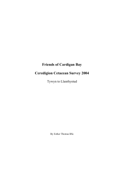 2004 Dolphin Report pdf - Friends of Cardigan Bay