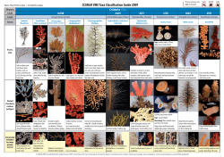 CCAMLR VME Taxa Classification Guide 2009