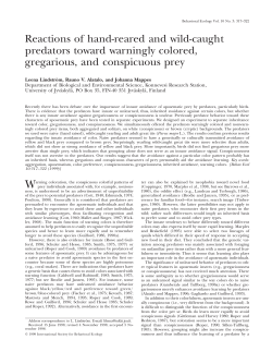 Behavioral Ecology