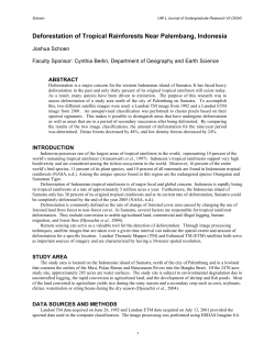 deforestation of tropical rain forests near palembang, indonesia