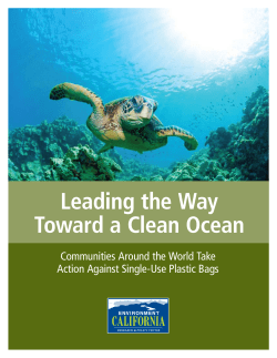 Leading the Way Toward a Clean Ocean