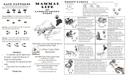 Mammal Life in LaPorte County Parks
