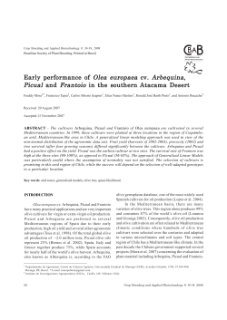 Early performance of Early performance of Olea europaea