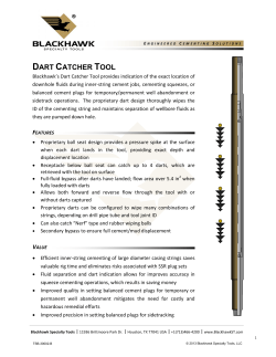Blackhawk Dart Catcher Tool