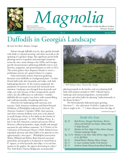 Daffodils in Georgia`s Landscape - Southern Garden History Society