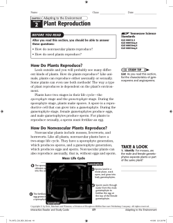 2 Plant Reproduction