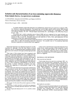 Isolation and characterization of an iron‐containing superoxide