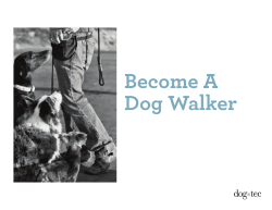 Become A Dog Walker