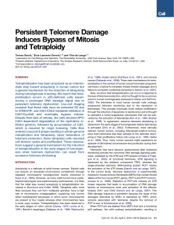 Persistent Telomere Damage Induces Bypass of Mitosis and