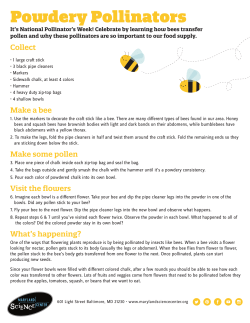 Powdery Pollinators