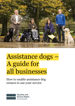 Assistance dogs &ndash; A guide for all businesses