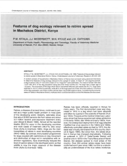 Features of dog ecology relevant to rabies spread in