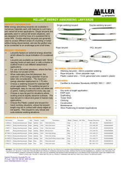Energy Absorbing Lanyards