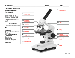 Cell Processes and Microscope Quiz KEY