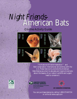 American Bats - Chicago State University
