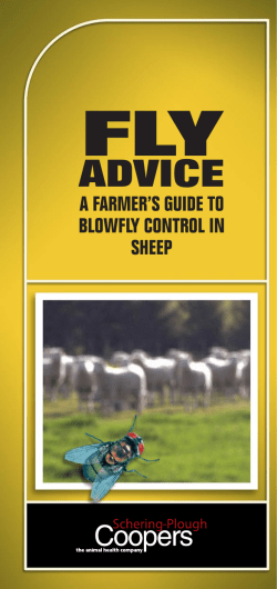 FlyAdvice r5.indd - MSD Animal Health New Zealand