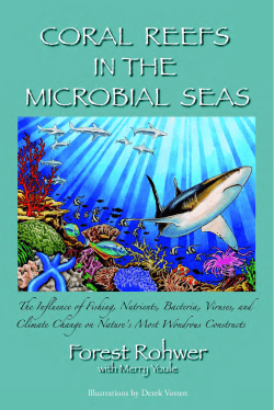 Coral Reefs in the