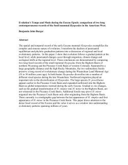 LINK - Benjamin Burger