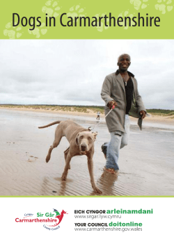 GD3892-Dog Order booklet