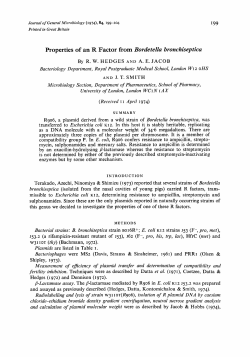 Properties of an R Factor from Bordetella