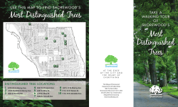 Most Distinguished Trees Most Distinguished Trees