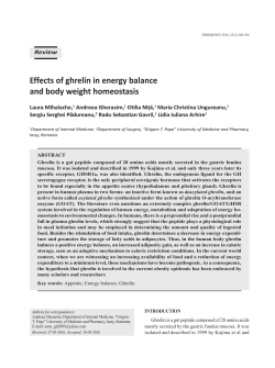 Effects of ghrelin in energy balance and body weight homeostasis