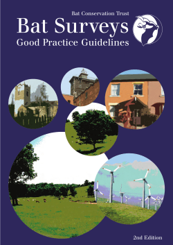 Bat Survey Guidelines 2012 aw