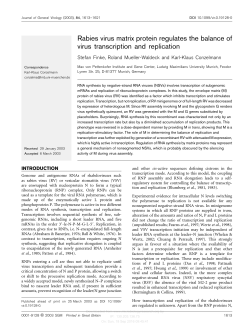 Rabies virus matrix protein regulates the balance of