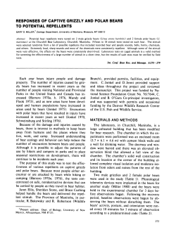 responses of captive grizzly and polar bears